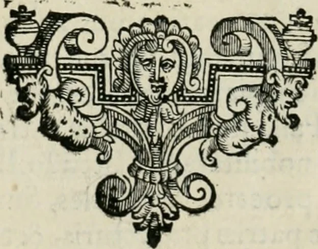 An illustration from Io. Batis. Portae Neap. De humana physiognomia li. VI : in quibus docetur quom[odo] animi propentes naturalibus remediis compesci possint, 1602, leaf 5