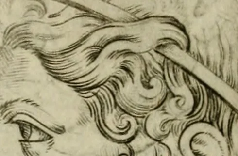 An illustration from Io. Batis. Portae Neap. De humana physiognomia li. VI : in quibus docetur quom[odo] animi propentes naturalibus remediis compesci possint, 1602, leaf 51