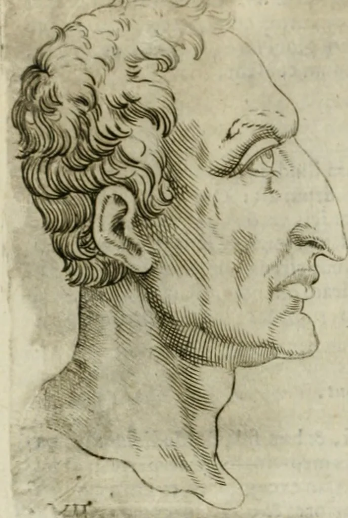 An illustration from Io. Batis. Portae Neap. De humana physiognomia li. VI : in quibus docetur quom[odo] animi propentes naturalibus remediis compesci possint, 1602, leaf 57