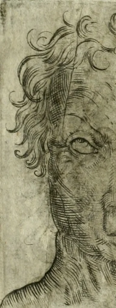 An illustration from Io. Batis. Portae Neap. De humana physiognomia li. VI : in quibus docetur quom[odo] animi propentes naturalibus remediis compesci possint, 1602, leaf 58