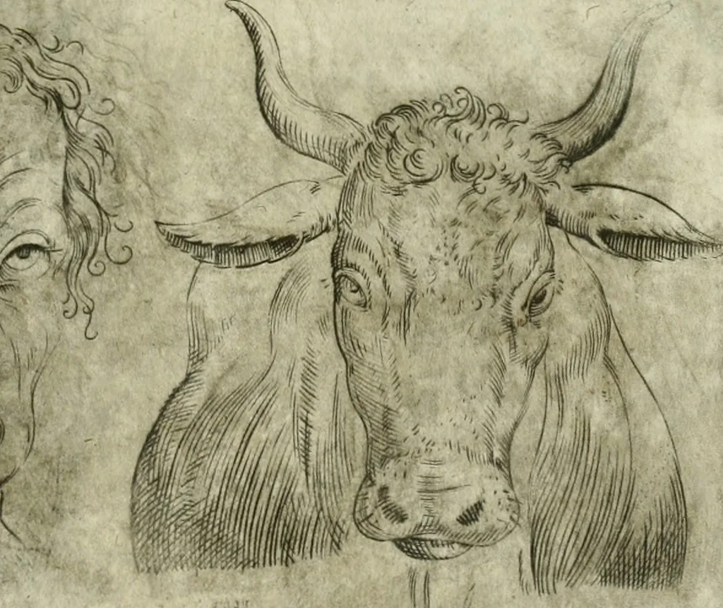 An illustration from Io. Batis. Portae Neap. De humana physiognomia li. VI : in quibus docetur quom[odo] animi propentes naturalibus remediis compesci possint, 1602, leaf 58