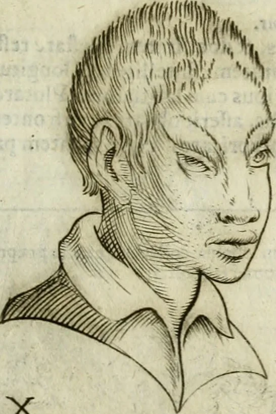An illustration from Io. Batis. Portae Neap. De humana physiognomia li. VI : in quibus docetur quom[odo] animi propentes naturalibus remediis compesci possint, 1602, leaf 60