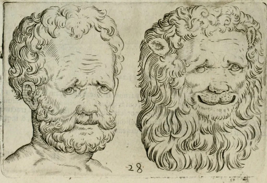 An illustration from Io. Batis. Portae Neap. De humana physiognomia li. VI : in quibus docetur quom[odo] animi propentes naturalibus remediis compesci possint, 1602, leaf 61