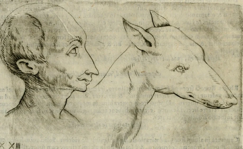 An illustration from Io. Batis. Portae Neap. De humana physiognomia li. VI : in quibus docetur quom[odo] animi propentes naturalibus remediis compesci possint, 1602, leaf 65