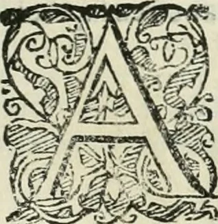 An illustration from Io. Batis. Portae Neap. De humana physiognomia li. VI : in quibus docetur quom[odo] animi propentes naturalibus remediis compesci possint, 1602, leaf 66