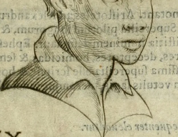 An illustration from Io. Batis. Portae Neap. De humana physiognomia li. VI : in quibus docetur quom[odo] animi propentes naturalibus remediis compesci possint, 1602, leaf 68