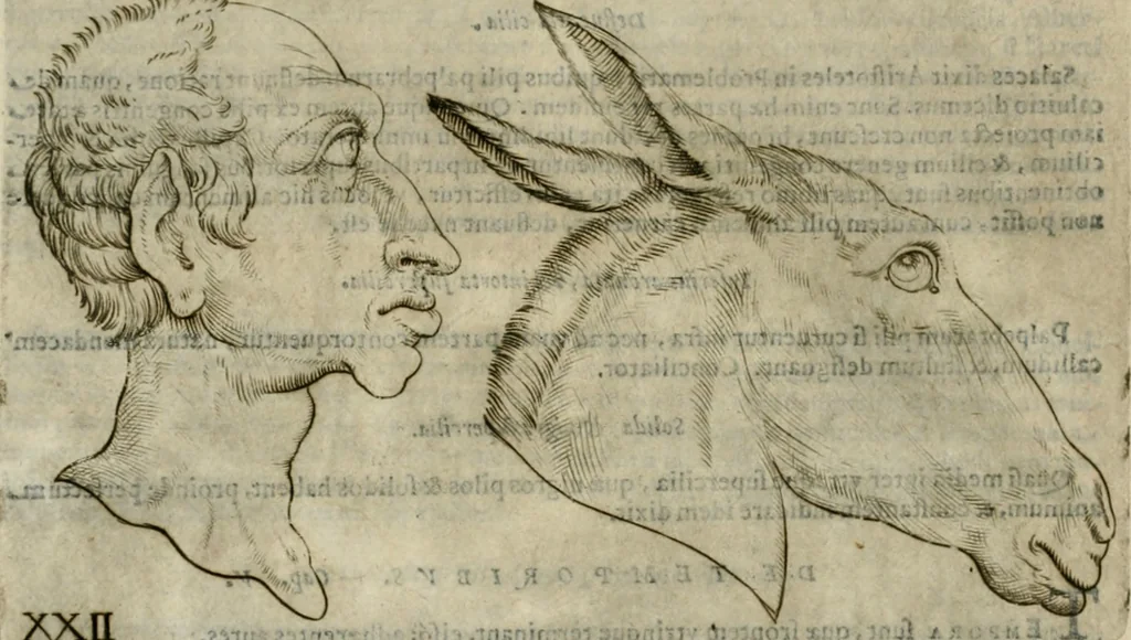 An illustration from Io. Batis. Portae Neap. De humana physiognomia li. VI : in quibus docetur quom[odo] animi propentes naturalibus remediis compesci possint, 1602, leaf 71