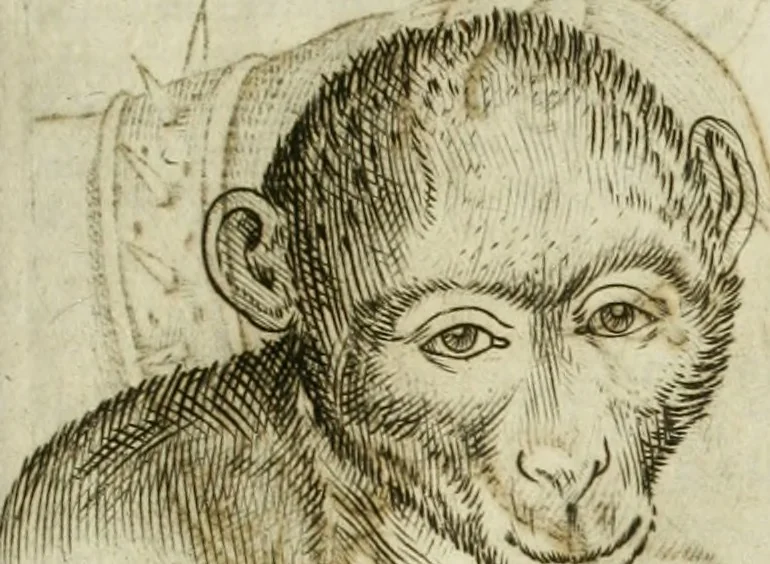 An illustration from Io. Batis. Portae Neap. De humana physiognomia li. VI : in quibus docetur quom[odo] animi propentes naturalibus remediis compesci possint, 1602, leaf 72