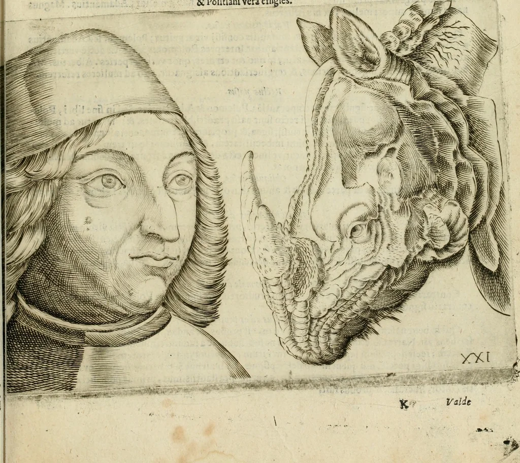 An illustration from Io. Batis. Portae Neap. De humana physiognomia li. VI : in quibus docetur quom[odo] animi propentes naturalibus remediis compesci possint, 1602, leaf 74