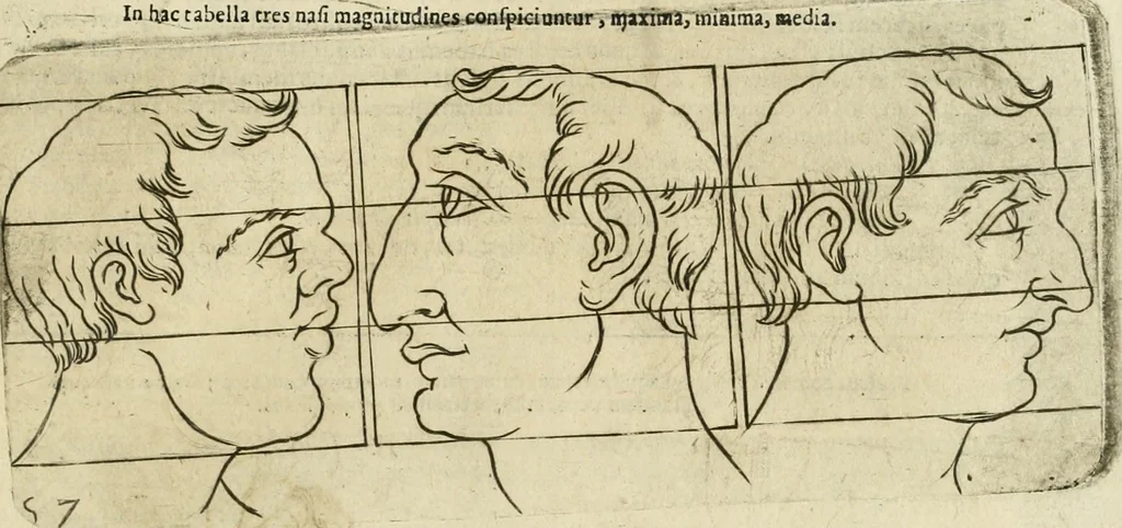 An illustration from Io. Batis. Portae Neap. De humana physiognomia li. VI : in quibus docetur quom[odo] animi propentes naturalibus remediis compesci possint, 1602, leaf 76