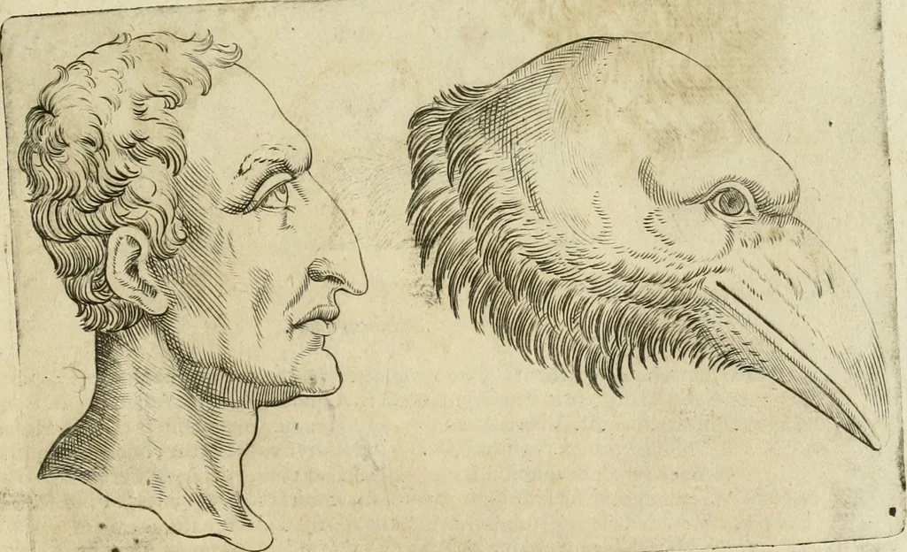 An illustration from Io. Batis. Portae Neap. De humana physiognomia li. VI : in quibus docetur quom[odo] animi propentes naturalibus remediis compesci possint, 1602, leaf 76