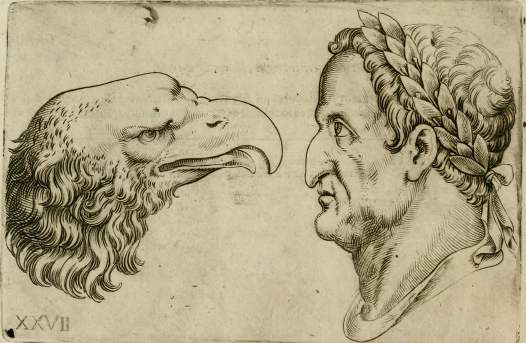 An illustration from Io. Batis. Portae Neap. De humana physiognomia li. VI : in quibus docetur quom[odo] animi propentes naturalibus remediis compesci possint, 1602, leaf 77