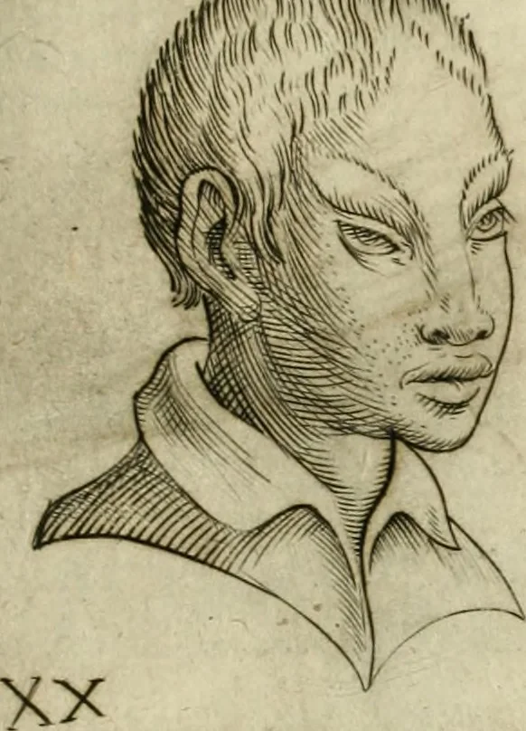 An illustration from Io. Batis. Portae Neap. De humana physiognomia li. VI : in quibus docetur quom[odo] animi propentes naturalibus remediis compesci possint, 1602, leaf 80