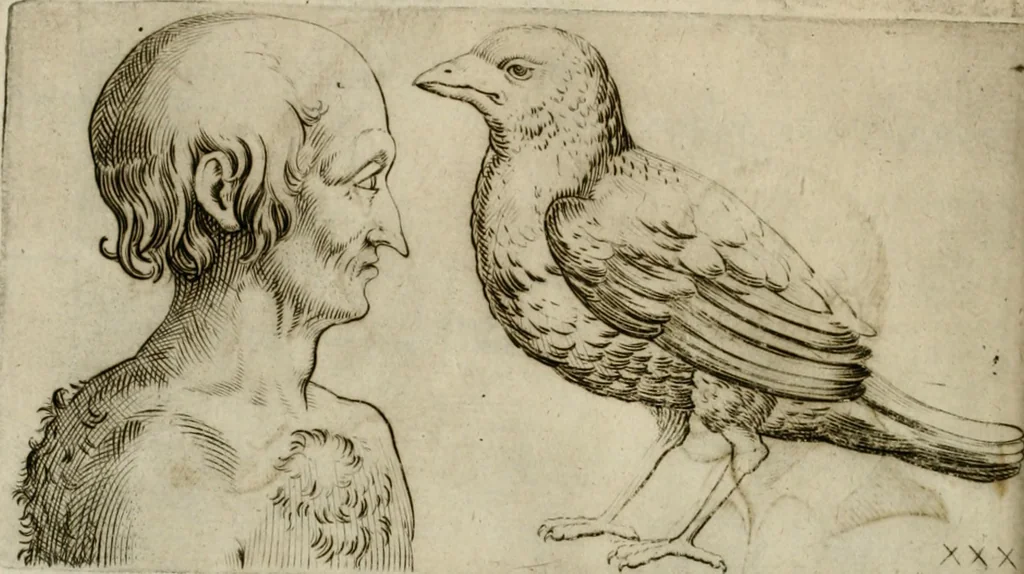 An illustration from Io. Batis. Portae Neap. De humana physiognomia li. VI : in quibus docetur quom[odo] animi propentes naturalibus remediis compesci possint, 1602, leaf 81
