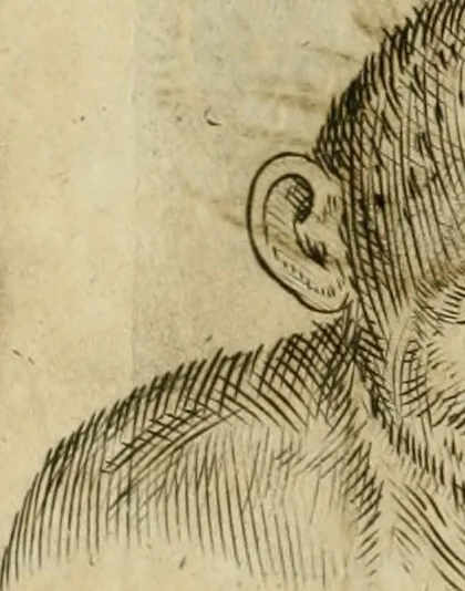 An illustration from Io. Batis. Portae Neap. De humana physiognomia li. VI : in quibus docetur quom[odo] animi propentes naturalibus remediis compesci possint, 1602, leaf 82