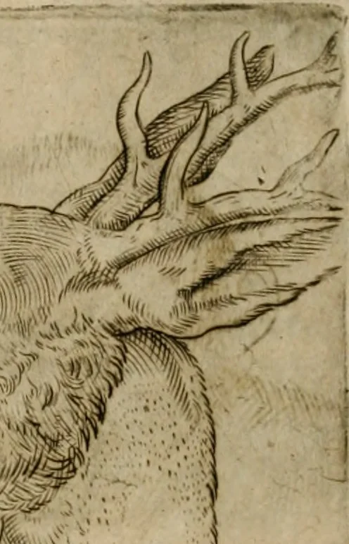 An illustration from Io. Batis. Portae Neap. De humana physiognomia li. VI : in quibus docetur quom[odo] animi propentes naturalibus remediis compesci possint, 1602, leaf 83