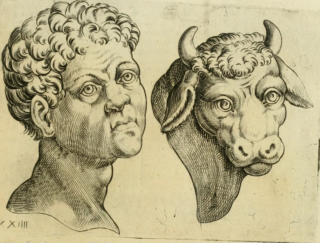 An illustration from Io. Batis. Portae Neap. De humana physiognomia li. VI : in quibus docetur quom[odo] animi propentes naturalibus remediis compesci possint, 1602, leaf 84
