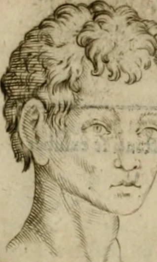 An illustration from Io. Batis. Portae Neap. De humana physiognomia li. VI : in quibus docetur quom[odo] animi propentes naturalibus remediis compesci possint, 1602, leaf 89