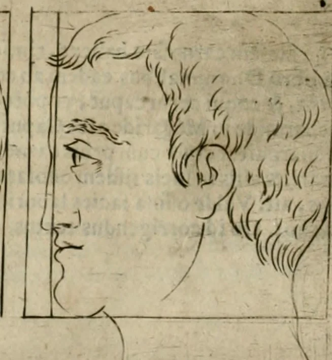 An illustration from Io. Batis. Portae Neap. De humana physiognomia li. VI : in quibus docetur quom[odo] animi propentes naturalibus remediis compesci possint, 1602, leaf 91