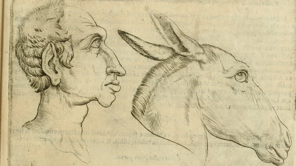 An illustration from Io. Batis. Portae Neap. De humana physiognomia li. VI : in quibus docetur quom[odo] animi propentes naturalibus remediis compesci possint, 1602, leaf 94