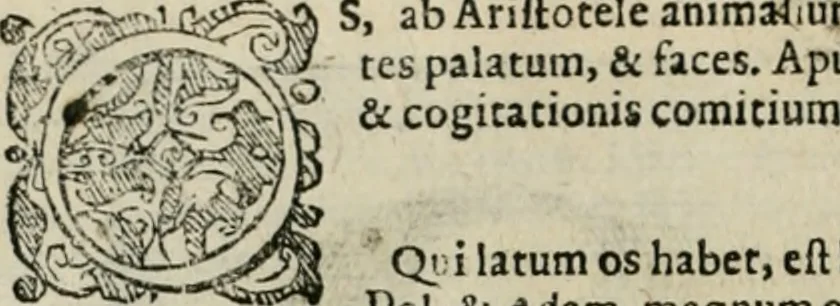 An illustration from Io. Batis. Portae Neap. De humana physiognomia li. VI : in quibus docetur quom[odo] animi propentes naturalibus remediis compesci possint, 1602, leaf 97