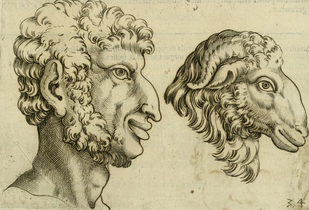 An illustration from Io. Batis. Portae Neap. De humana physiognomia li. VI : in quibus docetur quom[odo] animi propentes naturalibus remediis compesci possint, 1602, leaf 98