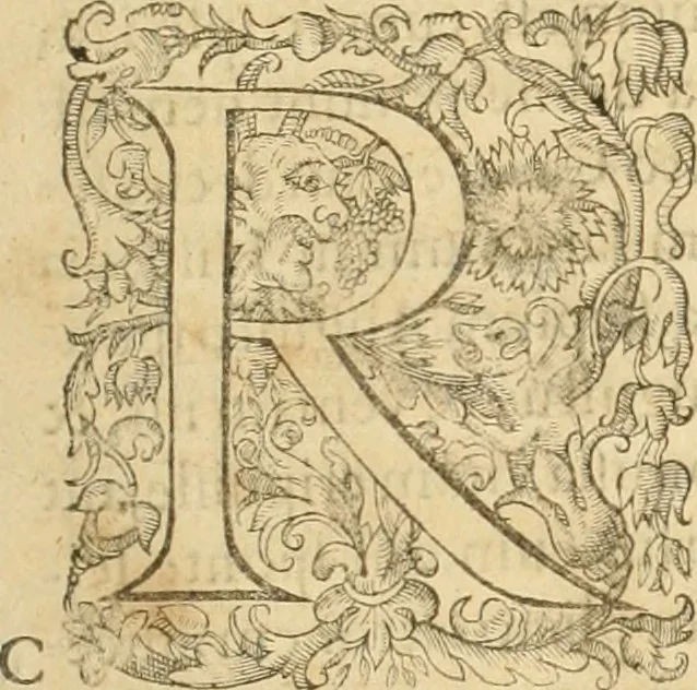 An illustration from Io. Bodini Andegavensis De republica libri sex, 1586, leaf 12