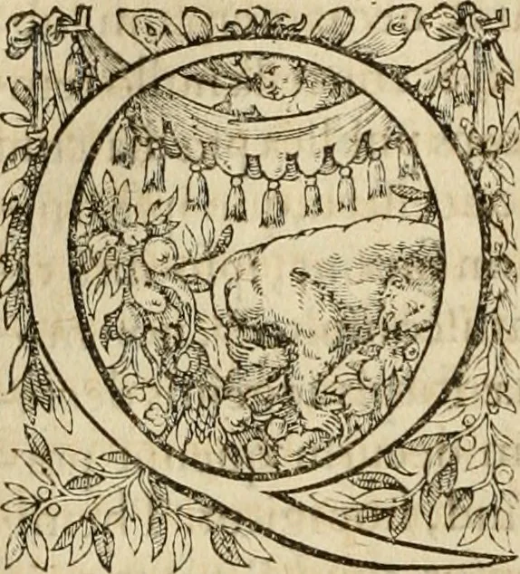 An illustration from Io. Bodini Andegavensis De republica libri sex, 1586, leaf 185