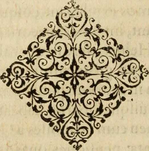 An illustration from Io. Bodini Andegavensis De republica libri sex, 1586, leaf 247