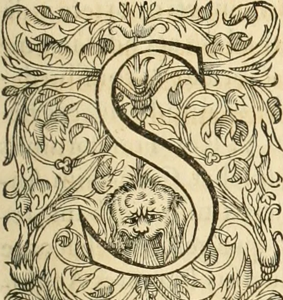 An illustration from Io. Bodini Andegavensis De republica libri sex, 1586, leaf 248