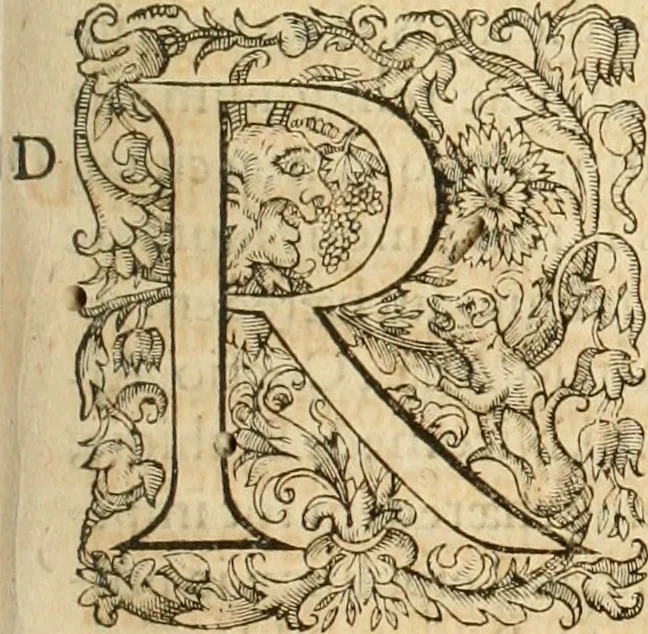 An illustration from Io. Bodini Andegavensis De republica libri sex, 1586, leaf 376