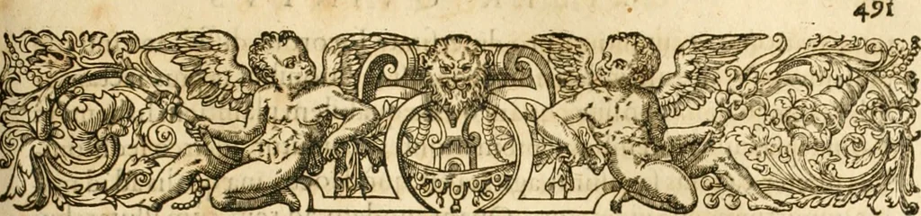 An illustration from Io. Bodini Andegavensis De republica libri sex, 1586, leaf 502