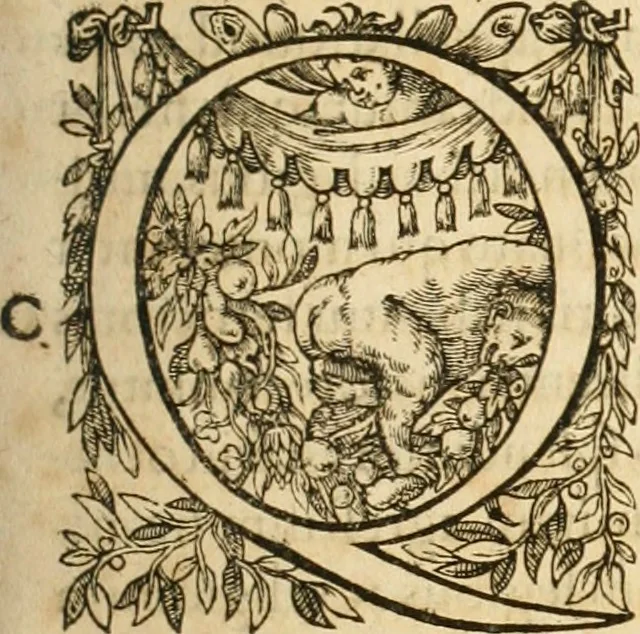 An illustration from Io. Bodini Andegavensis De republica libri sex, 1586, leaf 502