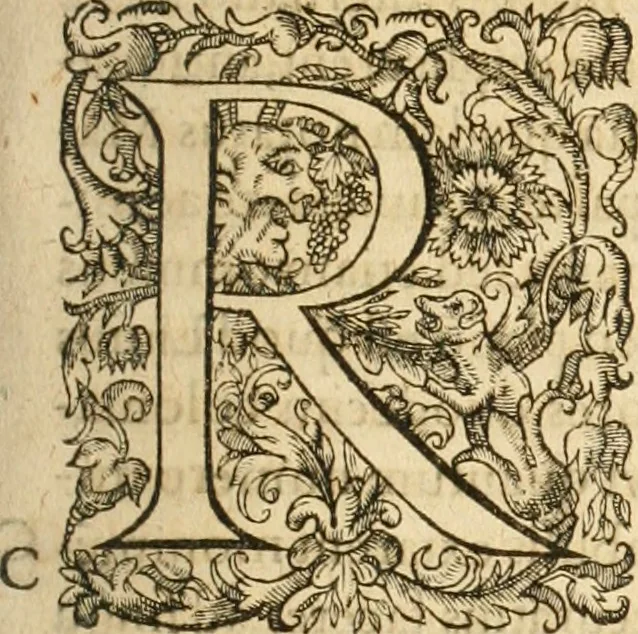 An illustration from Io. Bodini Andegavensis De republica libri sex, 1586, leaf 632