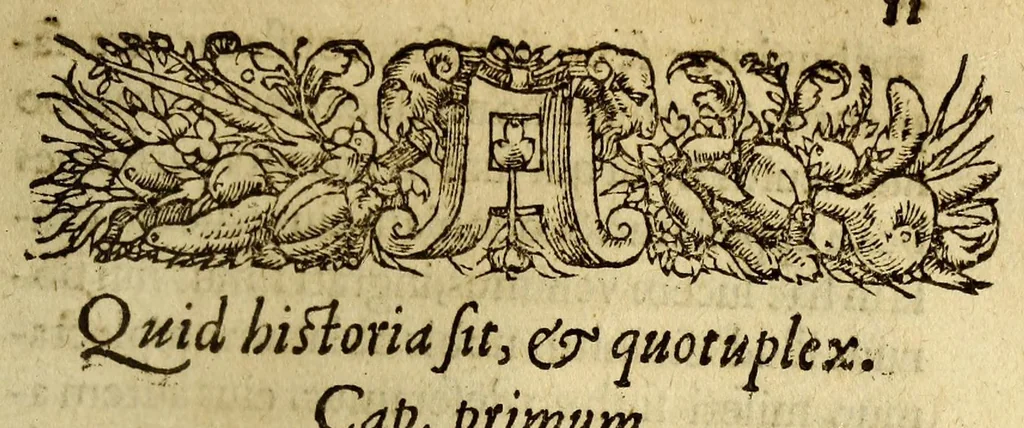 An illustration from Io. Bodini Andeg. in Parisiorum Senatu advocati methodus, ad facilem historiarum cognitionem; : ab ipso recognita, et multo quam antea locupletior. : cum indice rerum memorabilium copiosissimo, 1572, leaf 31