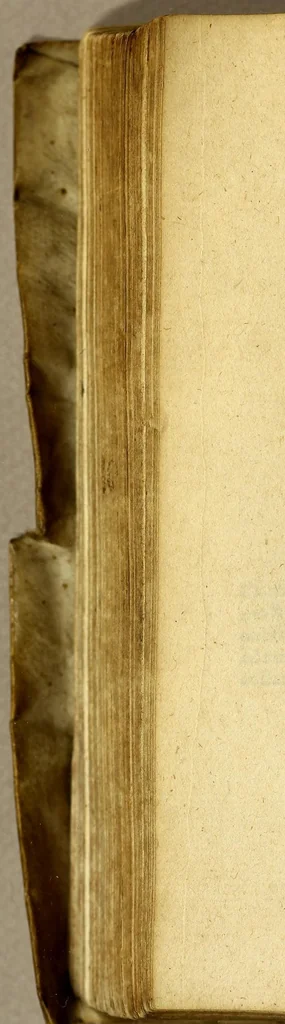 An illustration from Io. Bodini Andeg. in Parisiorum Senatu advocati methodus, ad facilem historiarum cognitionem; : ab ipso recognita, et multo quam antea locupletior. : cum indice rerum memorabilium copiosissimo, 1572, leaf 366