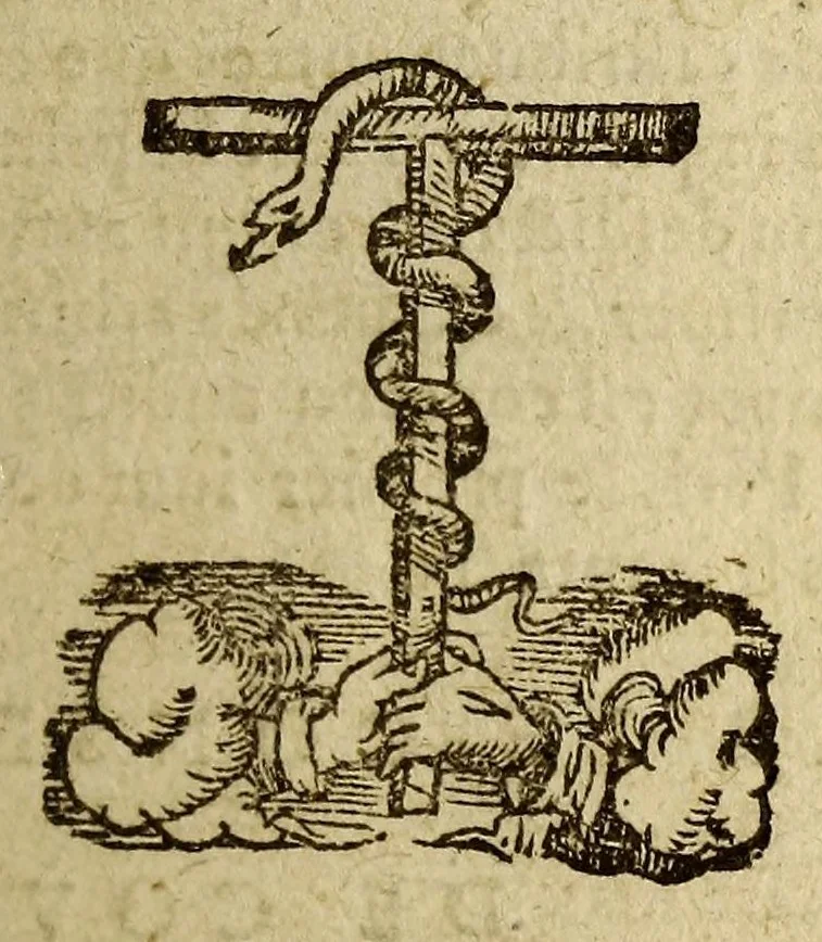 An illustration from Io. Bodini Andeg. in Parisiorum Senatu advocati methodus, ad facilem historiarum cognitionem; : ab ipso recognita, et multo quam antea locupletior. : cum indice rerum memorabilium copiosissimo, 1572, leaf 5