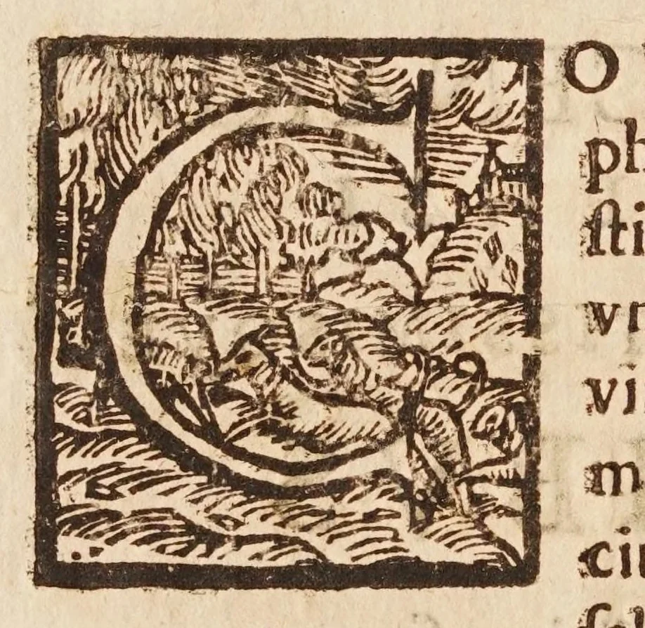 An illustration from Io: Chrysostomi Magneni ... Democritvs reviviscens, sive, De atomis ad excellentissimum senatvm mediolanensem : addita est Democriti vita cum indicibus necessarijs, 1646, leaf 10