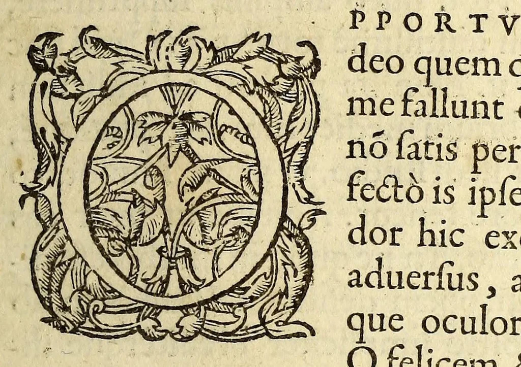 An illustration from Io. Fernelii Ambiani de abditis rerum causis libri duo, 1560, leaf 17