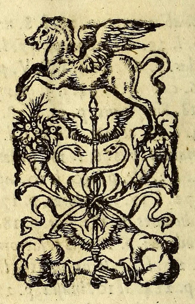 An illustration from Io. Fernelii Ambiani de abditis rerum causis libri duo, 1560, leaf 468