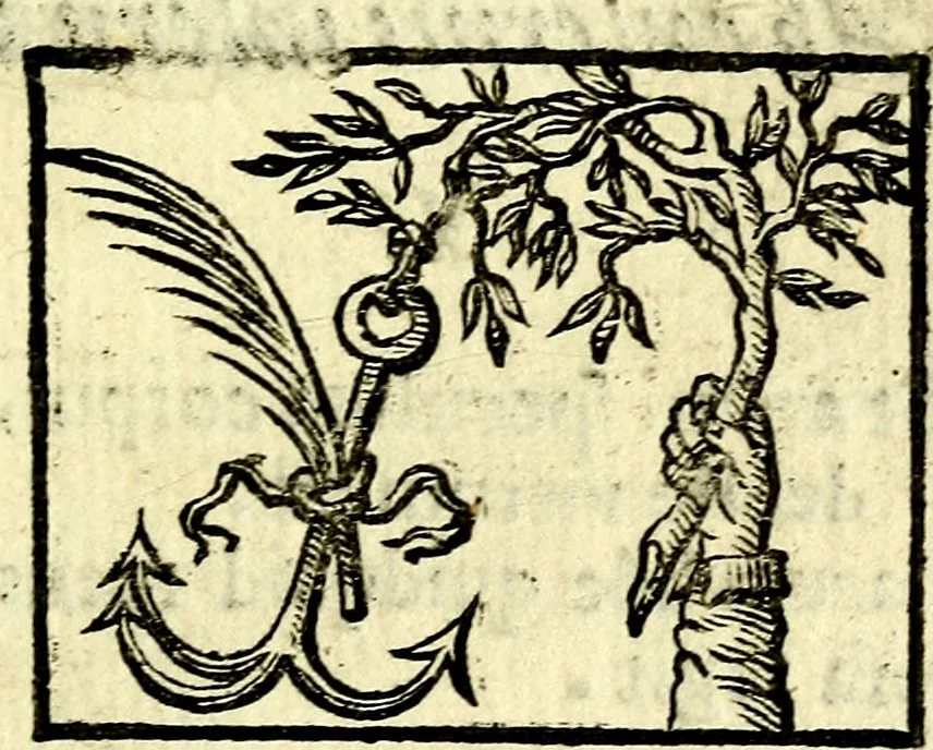 An illustration from Io: Francisci Bonomij Bononiensis Chiron Achillis, siue, Nauarchus humanæ uitæ : morali emblemate geminato ad felicitatis portum perducens, 1661, leaf 114
