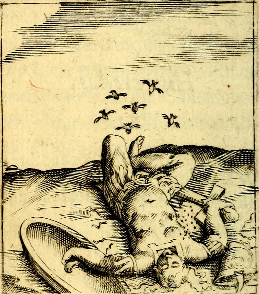 An illustration from Io: Francisci Bonomij Bononiensis Chiron Achillis, siue, Nauarchus humanæ uitæ : morali emblemate geminato ad felicitatis portum perducens, 1661, leaf 123