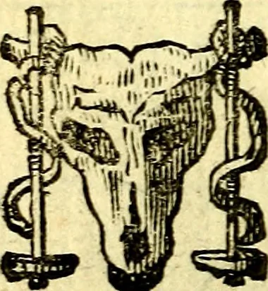 An illustration from Io: Francisci Bonomij Bononiensis Chiron Achillis, siue, Nauarchus humanæ uitæ : morali emblemate geminato ad felicitatis portum perducens, 1661, leaf 169