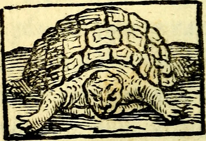 An illustration from Io: Francisci Bonomij Bononiensis Chiron Achillis, siue, Nauarchus humanæ uitæ : morali emblemate geminato ad felicitatis portum perducens, 1661, leaf 21