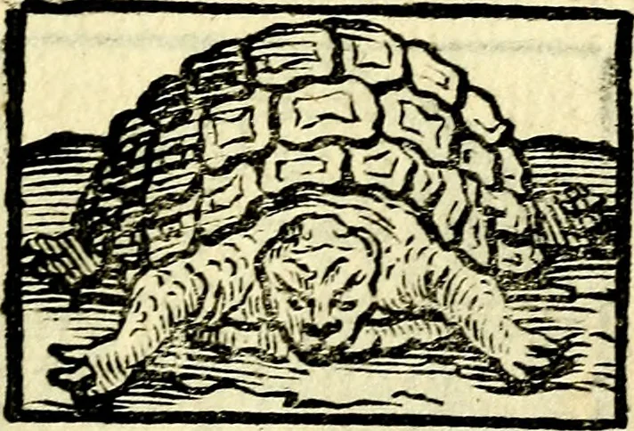 An illustration from Io: Francisci Bonomij Bononiensis Chiron Achillis, siue, Nauarchus humanæ uitæ : morali emblemate geminato ad felicitatis portum perducens, 1661, leaf 210