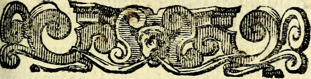 An illustration from Io: Francisci Bonomij Bononiensis Chiron Achillis, siue, Nauarchus humanæ uitæ : morali emblemate geminato ad felicitatis portum perducens, 1661, leaf 214