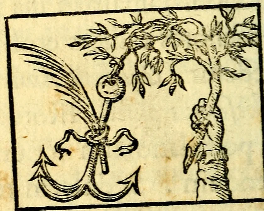 An illustration from Io: Francisci Bonomij Bononiensis Chiron Achillis, siue, Nauarchus humanæ uitæ : morali emblemate geminato ad felicitatis portum perducens, 1661, leaf 219