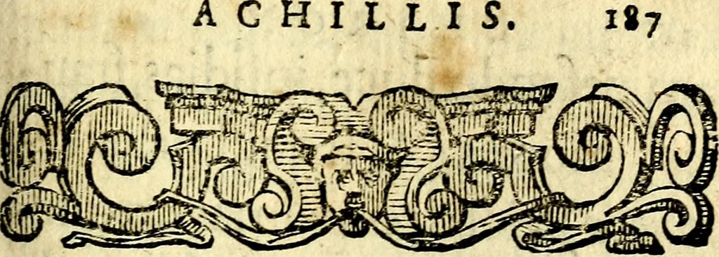 An illustration from Io: Francisci Bonomij Bononiensis Chiron Achillis, siue, Nauarchus humanæ uitæ : morali emblemate geminato ad felicitatis portum perducens, 1661, leaf 222