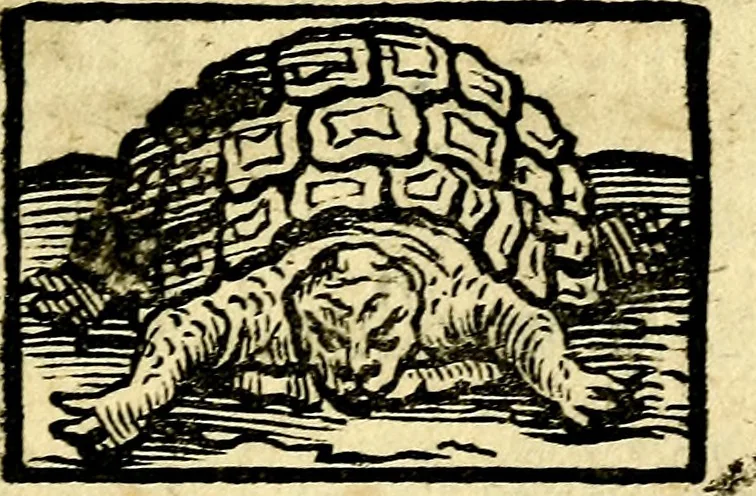 An illustration from Io: Francisci Bonomij Bononiensis Chiron Achillis, siue, Nauarchus humanæ uitæ : morali emblemate geminato ad felicitatis portum perducens, 1661, leaf 258