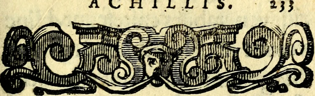 An illustration from Io: Francisci Bonomij Bononiensis Chiron Achillis, siue, Nauarchus humanæ uitæ : morali emblemate geminato ad felicitatis portum perducens, 1661, leaf 268